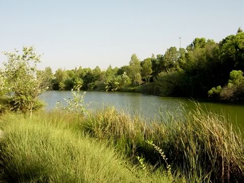 Zypern Radfahren mit Fahrrad durch die Natur