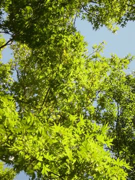 Zypern Radfahren mit Fahrrad durch die Natur